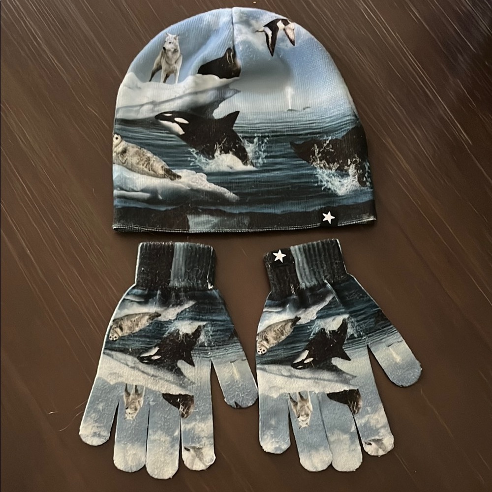 Molo Arctic Adventure Hat and Gloves Set - Blue and Black